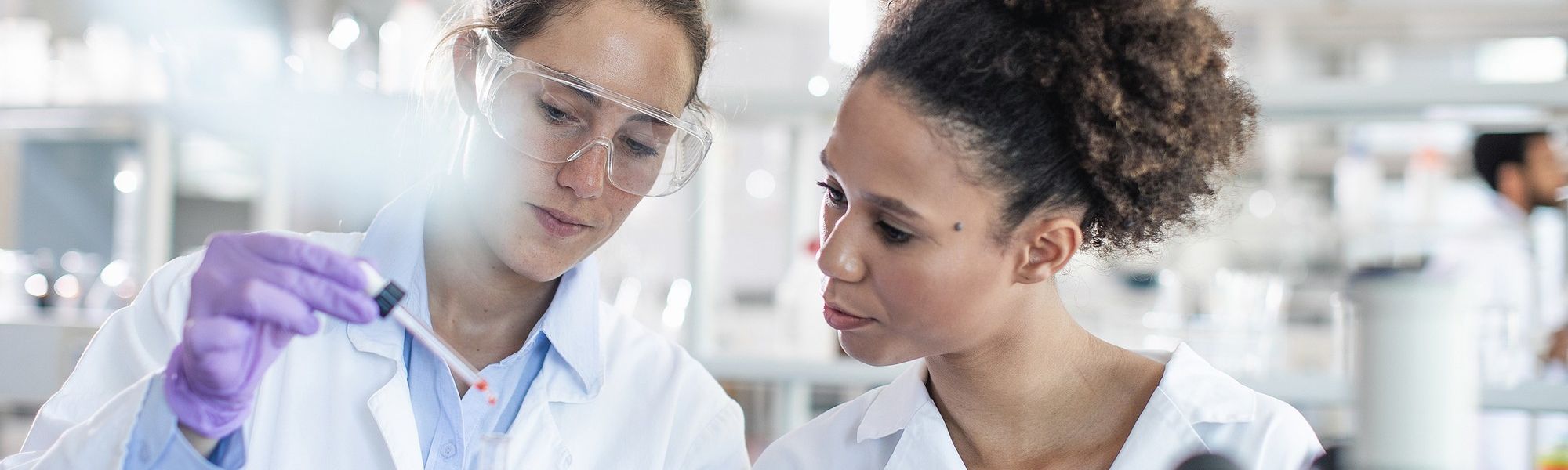 Scientist Working in The Laboratory